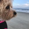 pamelagrubb